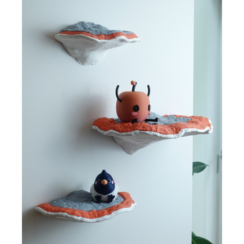 Baumschwamm Wandregal Formitopsis Pinicula II - 4er-Set kaufen | 3D St