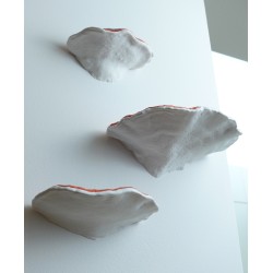 Baumschwamm Wandregal Formitopsis Pinicula II - 4er-Set kaufen | 3D St