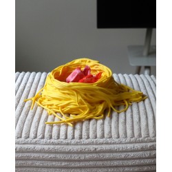 Spaghetti-Schüssel mit Fleischbällchen-Salz & Pfefferst kaufen | 3D St