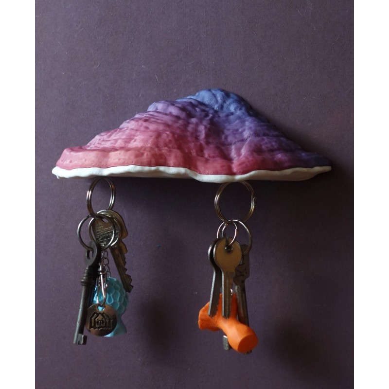 Pilz Schlüsselbrett mit Geheimfach Ganoderma - Magnetis kaufen | 3D St