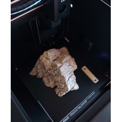 Stein-Wandregal mit verstecktem Gesicht - Optische Täus kaufen | 3D St