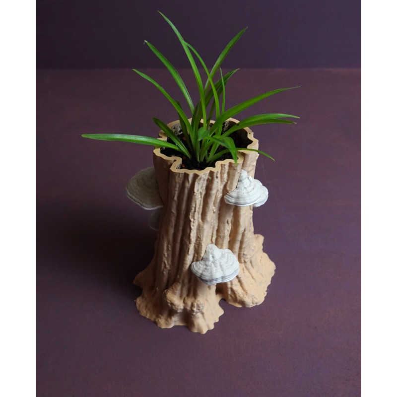 Baumstamm Blumentopf Hainbuche mit Drainagefach kaufen | 3D Studio