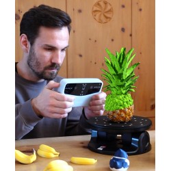 Ananas-Untersetzer-Set - 3D-Scan vom echten Original kaufen | 3D Studi