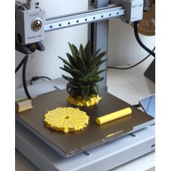 Ananas-Untersetzer-Set - 3D-Scan vom echten Original kaufen | 3D Studi