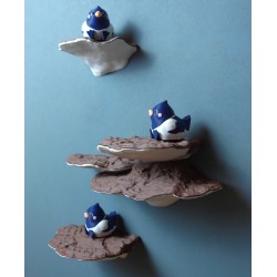 Pilz Wandregal Ganoderma Applanatum - Naturalistisches  kaufen | 3D St