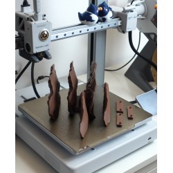 Pilz Wandregal Ganoderma Applanatum - Naturalistisches  kaufen | 3D St