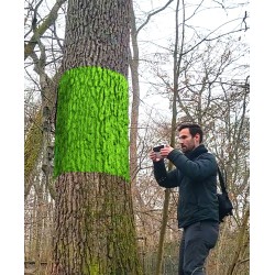 Baumstamm Mülleimer mit Schwingdeckel Schwarzerle - 3D- kaufen | 3D St