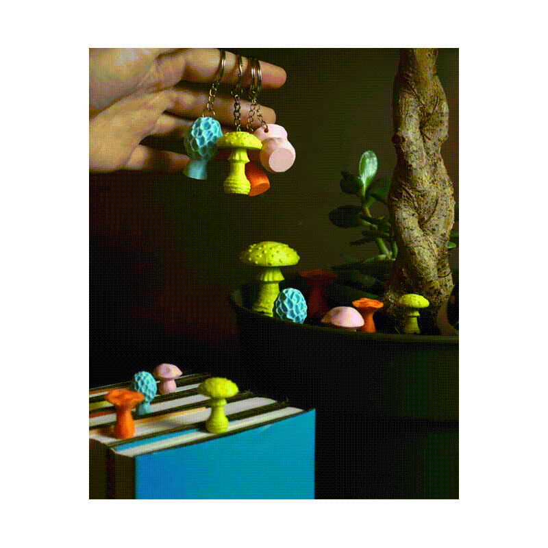 Mini-Pilz Bundle - Lesezeichen, Schlüsselanhänger & Dek kaufen | 3D St