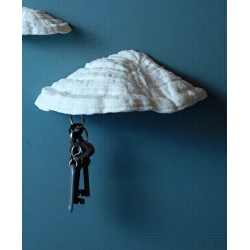 Pilz Schlüsselbrett Magnet Ganoderma Carnosum - 3D-Scan kaufen | 3D St