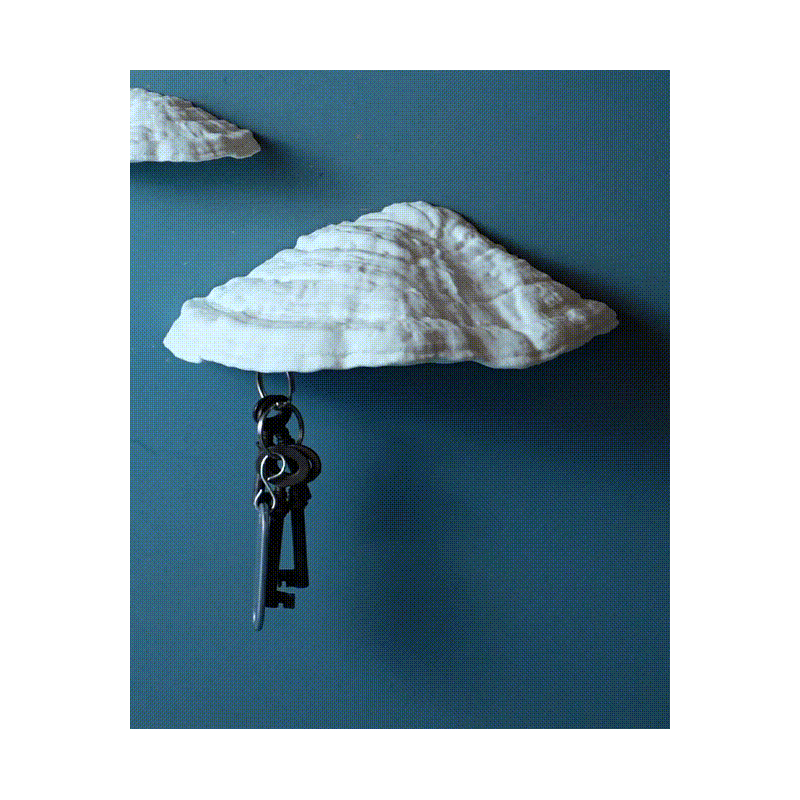 Pilz Schlüsselbrett Magnet Ganoderma Carnosum - 3D-Scan kaufen | 3D St