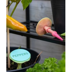 Pilz Pflanzenstecker Agaricus - 59 Beschriftungen inklu kaufen | 3D St