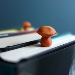 Steinpilz Lesezeichen Boletus Edulis - Naturgetreues Bu kaufen | 3D St