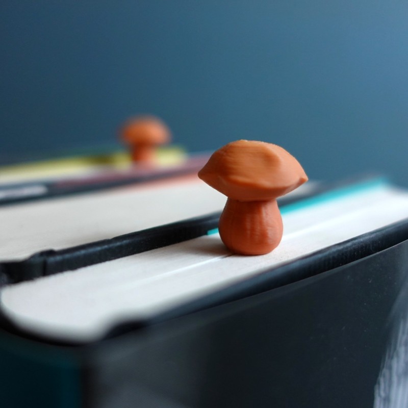 Steinpilz Lesezeichen Boletus Edulis - Naturgetreues Bu kaufen | 3D St