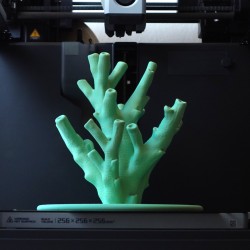 Korallen-Schmuckhalter Echinata - Eleganter Schmuckstän kaufen | 3D St