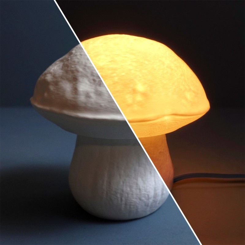 Steinpilz Tischlampe Boletus Edulis - Natürliches Licht kaufen | 3D St