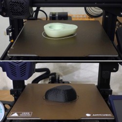 Avocado Eierbecher mit extra Deckelablage - Frühstücks- kaufen | 3D St